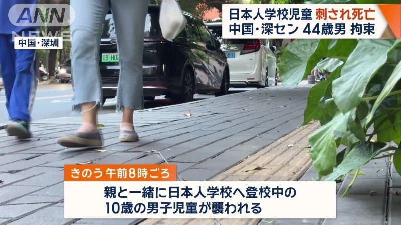 日本人の男子児童（10）が襲われた